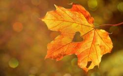 Herfstvakantie